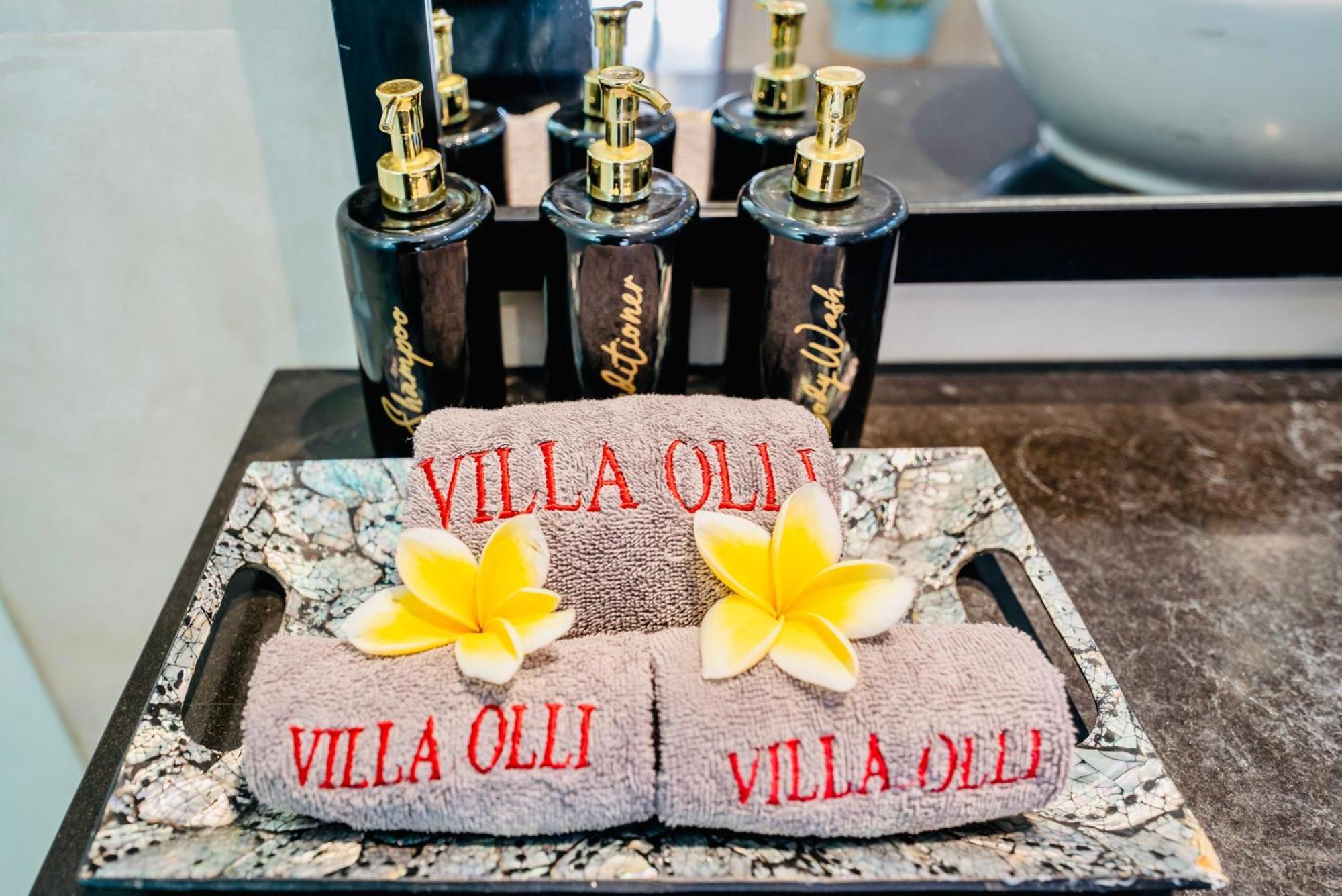 Villa Olli Семиньяк Экстерьер фото